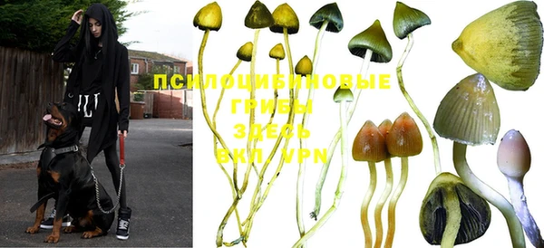 синтетический гашиш Балабаново