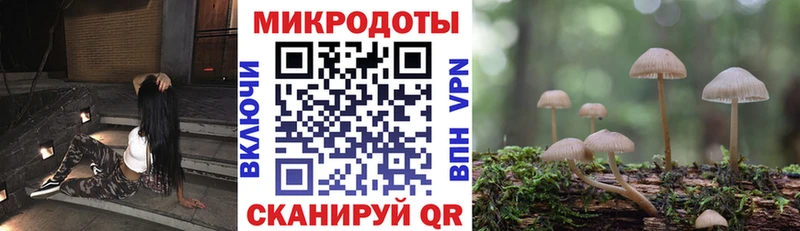 наркотики  Семёнов  Псилоцибиновые грибы мухоморы 